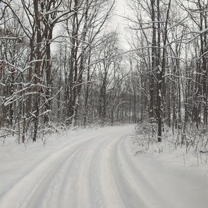 Meet your Posher, Terri